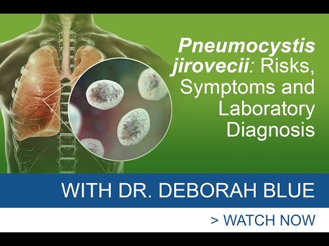 Pneumocystis Jirovecii: Risks, Symptoms & Laboratory Diagnosis | Dr. Deborah Blue