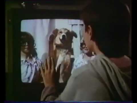 BINGO (1991) Bande annonce Française VHS