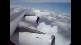 Suede - The Wild Ones (lyrics)