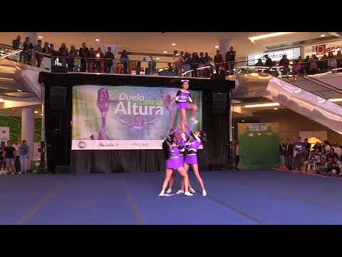 28. Rockstars All Stars - N3 Cuarteto Fem. - Bogotá