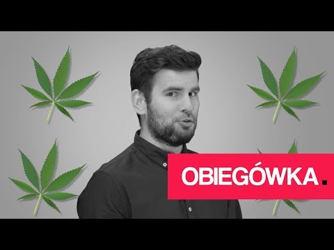 Holendrzy nie chcą polskich pracowników! [ Obiegówka #66 ]