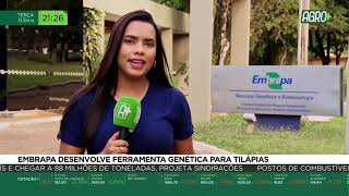 Miniatura do vídeo