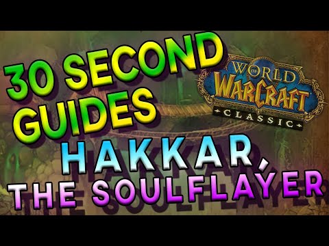 Hakkar the Soulflayer - 30 Second Guides - Zul'Gurub
