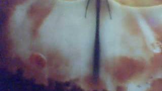 Star Cecil - Coheed and Cambria aka Shabutie