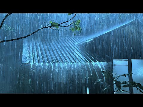 Calm Your Anxiety Within 3 Minutes to Sleep Instantly with Heavy Rain & Thunder on Tin Roof at Night