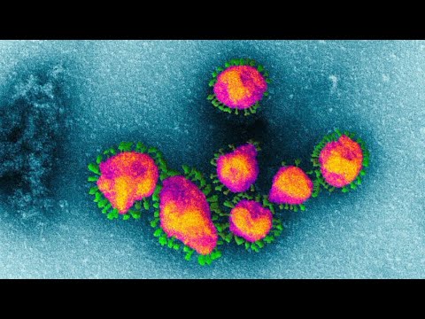 Corona virus : No case in India so far | Evening News | 28-01-2020