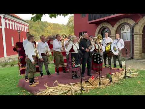 Rade Jorovic i Dragacevske trube - Zene vole oficire (uzivo)