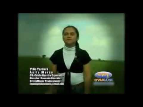 Y NO TARDARÁ // Anita Moran