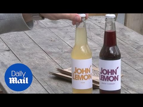 Small lemonade brand 'John Lemon' sued by Yoko Ono over copyright - Daily Mail
