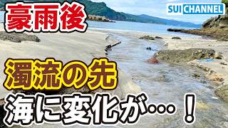 大雨で大量の泥が海に流れ込んだ結果…魚の行動に驚きの変化が！