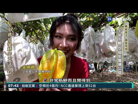 最美暖流十年不輟 空姐年曆捐公益