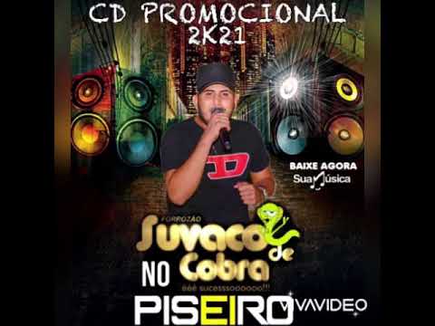 Forrozão Suvaco de Cobra no Piseiro 🐍 -  AMOR OU O LITRÃO 02