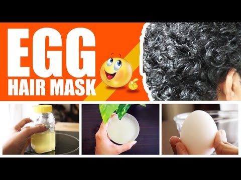 Egg Hair Mask Recipes  K4 Fashion