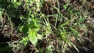 9 ตุลาคม ค.ศ. 2019