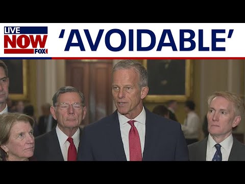 Video | 'Totally avoidable:' GOP Senators call out Democrats over government shutdown