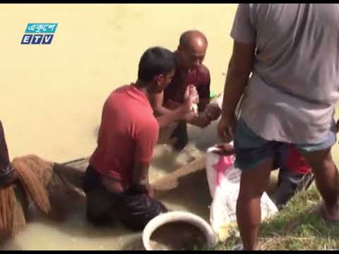 ড. ইউনূসের ফাউন্ডেশনের নামে গুরুতর অভিযোগ