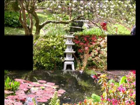The Wiklow garden.avi