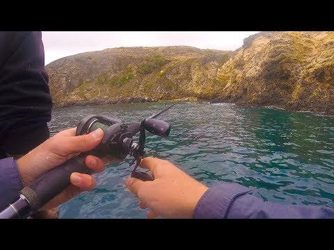 download lagu mp3 mp4 Deep Sea Fishing Channel Islands, download lagu Deep Sea Fishing Channel Islands gratis, unduh video klip Deep Sea Fishing Channel Islands