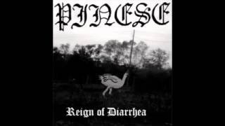 PINESE - Intro (Sodom cover City of God (Pierdy of God))