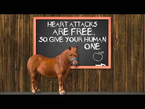 Fundamentals With Phoenix: Lesson 3 - Heart Attacks Are Free So Give Your Human One