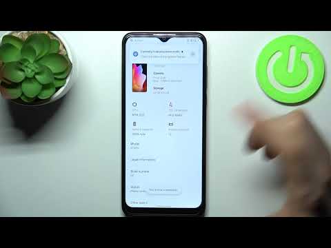 TCL 306 - How To Enter Developer Mode