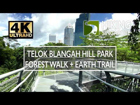 The Foresta @ Mount Faber, 106 Wishart Road, 1 Bedroom, 431 sqft, Condominium For Rent, by Sharon Lim, 24342537 - PropertyGuru.com.sg