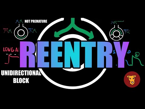 Reentry EXPLAINED: Electrophysiology, Mechanisms & Unidirectional Block (Beginner’s Guide)