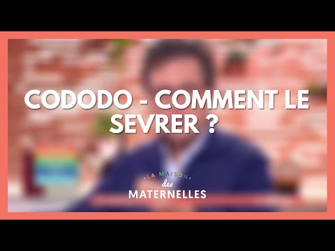 Le cododo, et après ? - La Maison des maternelles #LMDM