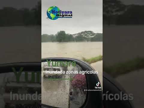 Yumare seriamente afectado por lluvias y crecidas del Río los Ureros