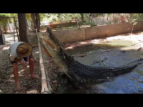 FATSO loves his beef and reef