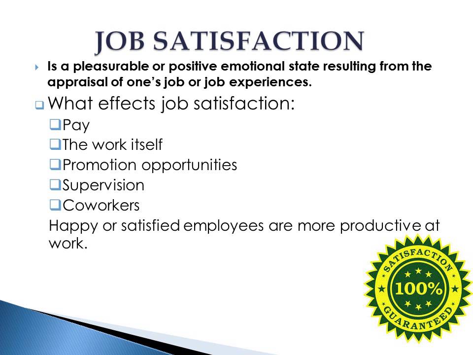 MGMT1105 PeelL Powerpoint Organization Behavior Chapter 2