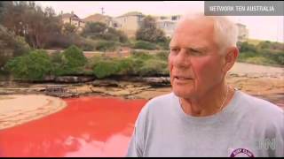 Signs of Thy Coming : Australian Beaches turned Blood Red (Nov 27, 2012)