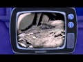 Lilo Stitch 2 Stitch Has A Glitch 2005 Family Fun Night SceneAAC High Quality