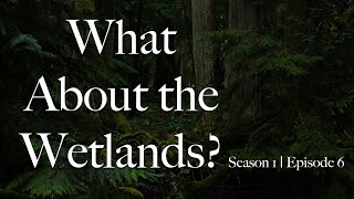 What About the Wetlands? S1 Ep 06