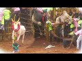 புதுக்கோட்டை வடமலாப்பூர் Part 4 Pudukkottai Vadamalapp