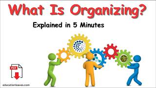 Organizing in Management | Meaning, Steps, Importance & Example