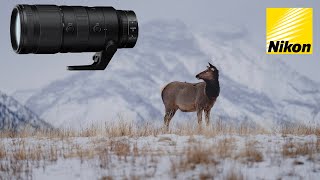 Video thumbnail for Nikon NIKKOR Z 70-200mm F2.8 VR S Review | Sample Photos and Videos by Taylor Jackson