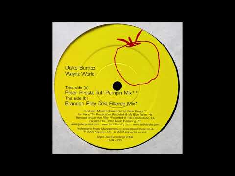 The Disco Bumbz - Waynz World (Brandon Riley Cold Filtered Mix)