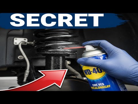 Protect Your Car's Rubber Seals Bushes with THIS WD-40 Silicone Lubricant Secret!