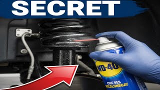 Protect Your Car's Rubber Seals Bushes with THIS WD-40 Silicone Lubricant Secret!