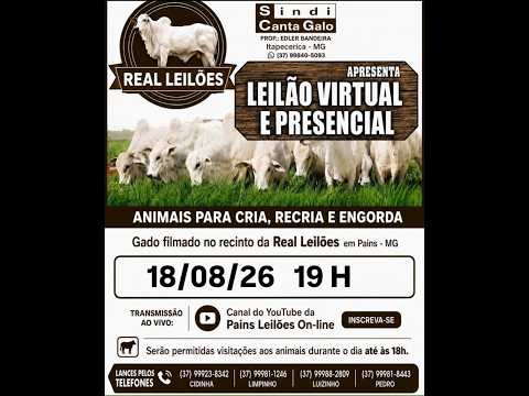 153º Leilão Virtual - Real Leilões - Pains MG