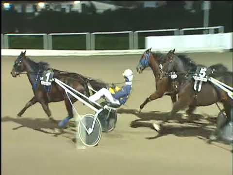 Trotto 10/12/2017 - 7ª corsa