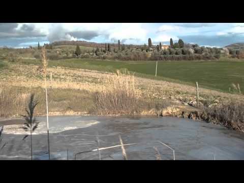 Mofeta dell'Acqua puzzola