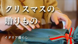 【暮らしのvlog】イタリアから日本へ帰省｜1歳の子どもと田園散歩＆クリスマスプレゼント