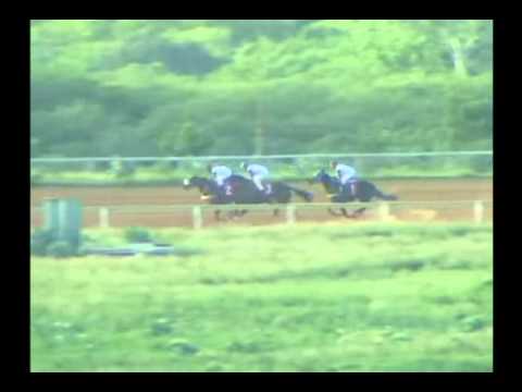 2da. Carrera Jueves 31 de Octubre de 2013 SANTA RITA