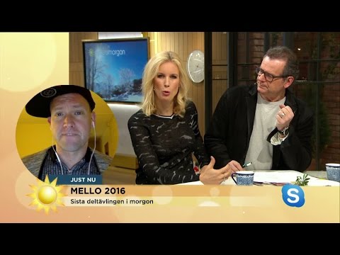Jenny om Mello: "Finns det någon no, no, no?" - Nyhetsmorgon (TV4)