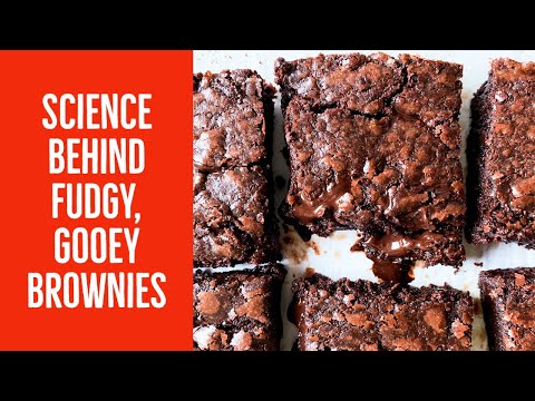 Science behind fudgy, gooey brownies (made better with brown butter)