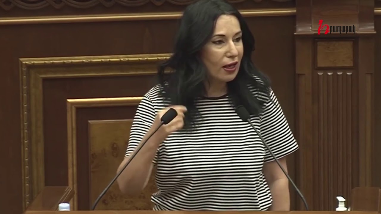 Բերվել է լավ նախագիծ, որը որոշակի կլուծի առկա սոցիալական լարվածությունը . Զոհրաբյան