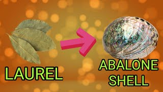 ANG KAPANGYARIHAN NG LAUREL AT ABALONE SEA SHELL