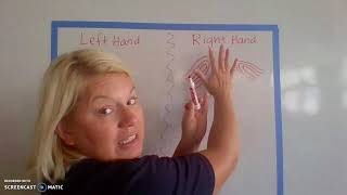 Radial and Ulnar Loops